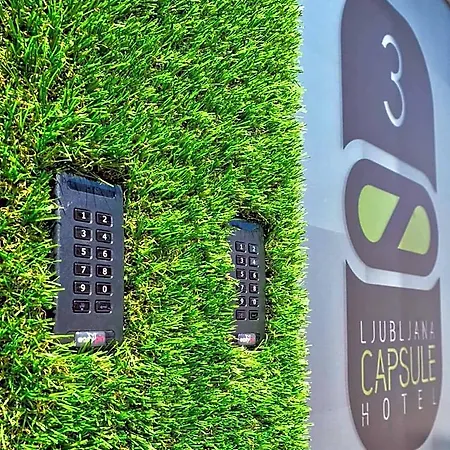 Capsule 2*