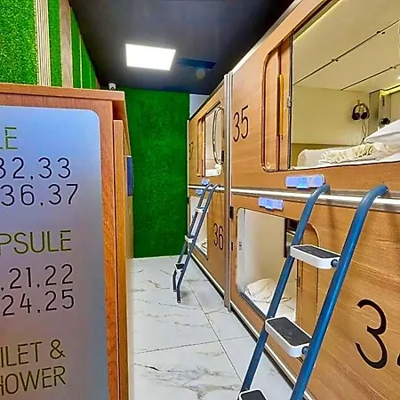 Capsule 2*